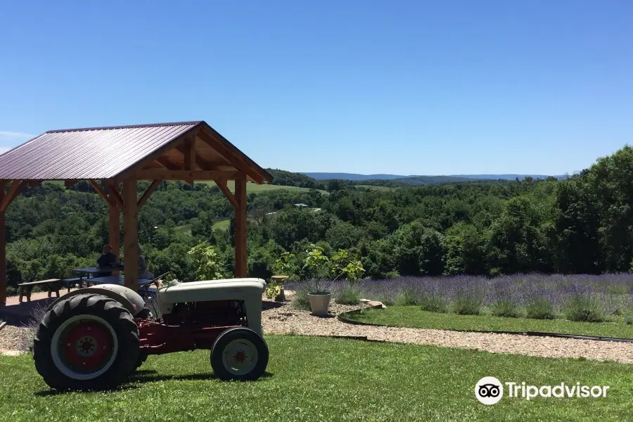 Hope Hill Lavender Farm LLC