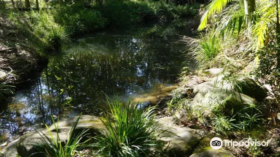 Little Rocky Creek