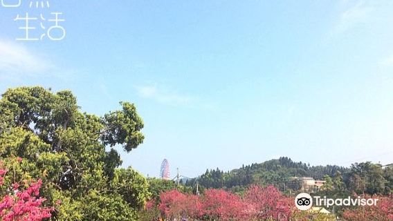 Huguang Shanshe