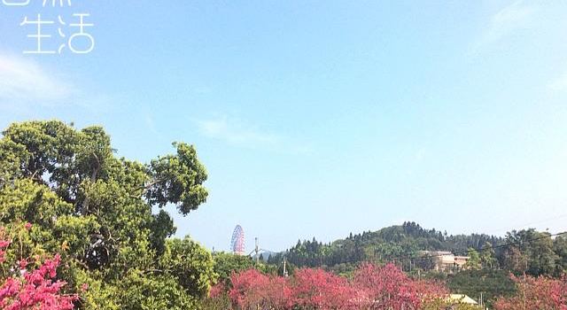 湖光山舍