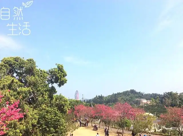 Hotels near Huguang Shanshe