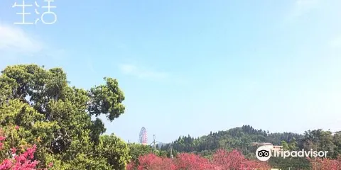 湖光山舍