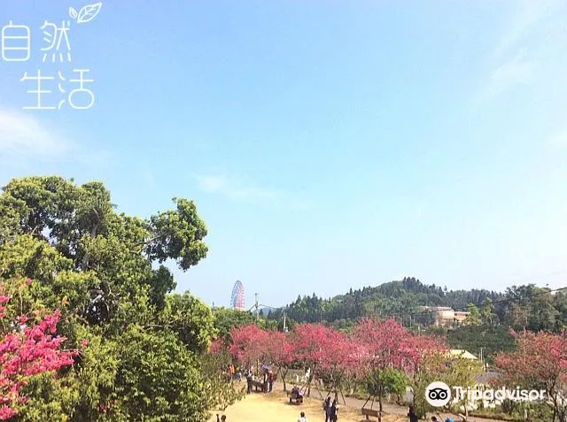 Huguang Shanshe