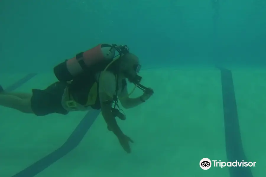 Atlanta Diver Training