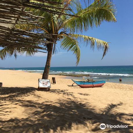 Marakolliya Beach
