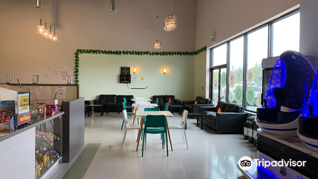 The Kids Fun Factory