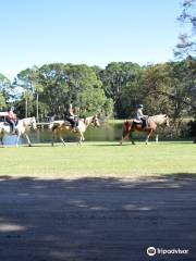 Lawton Stables