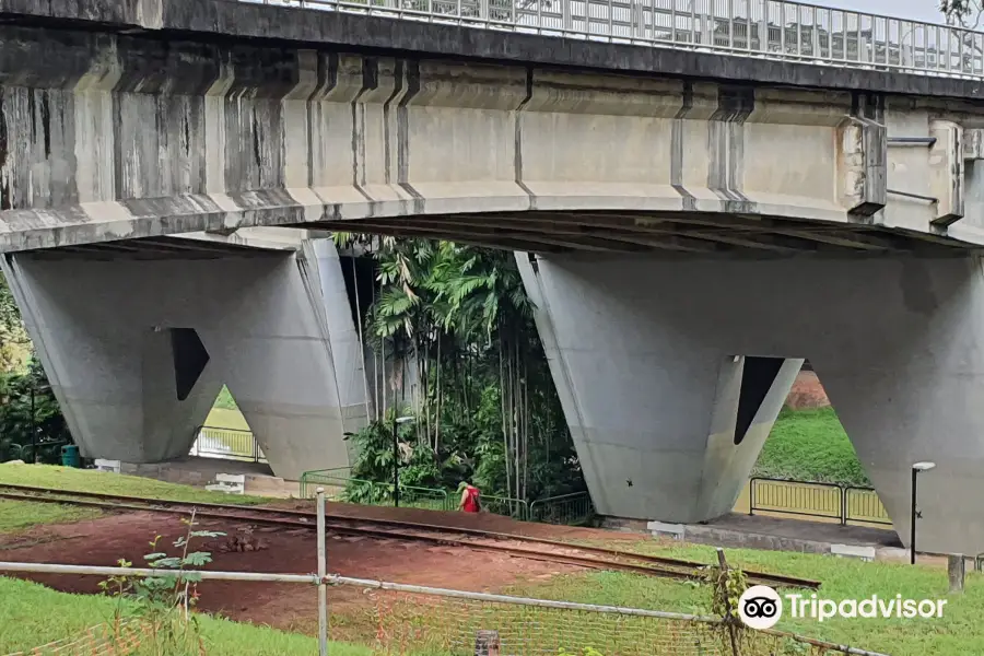 The Old Jurong Railway Line Trail