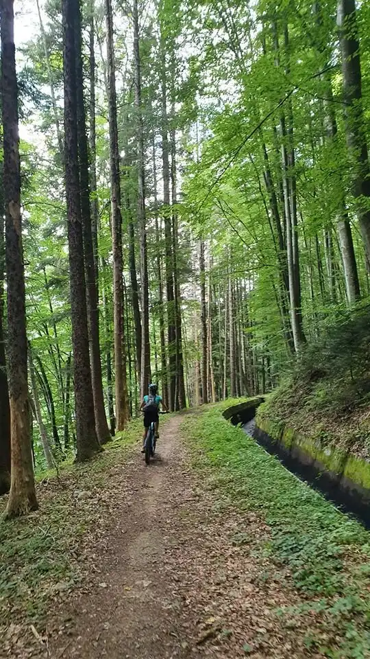 Hotels near RO Mountainbike