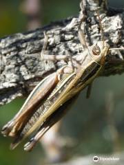 Réserve Naturelle de Għadira