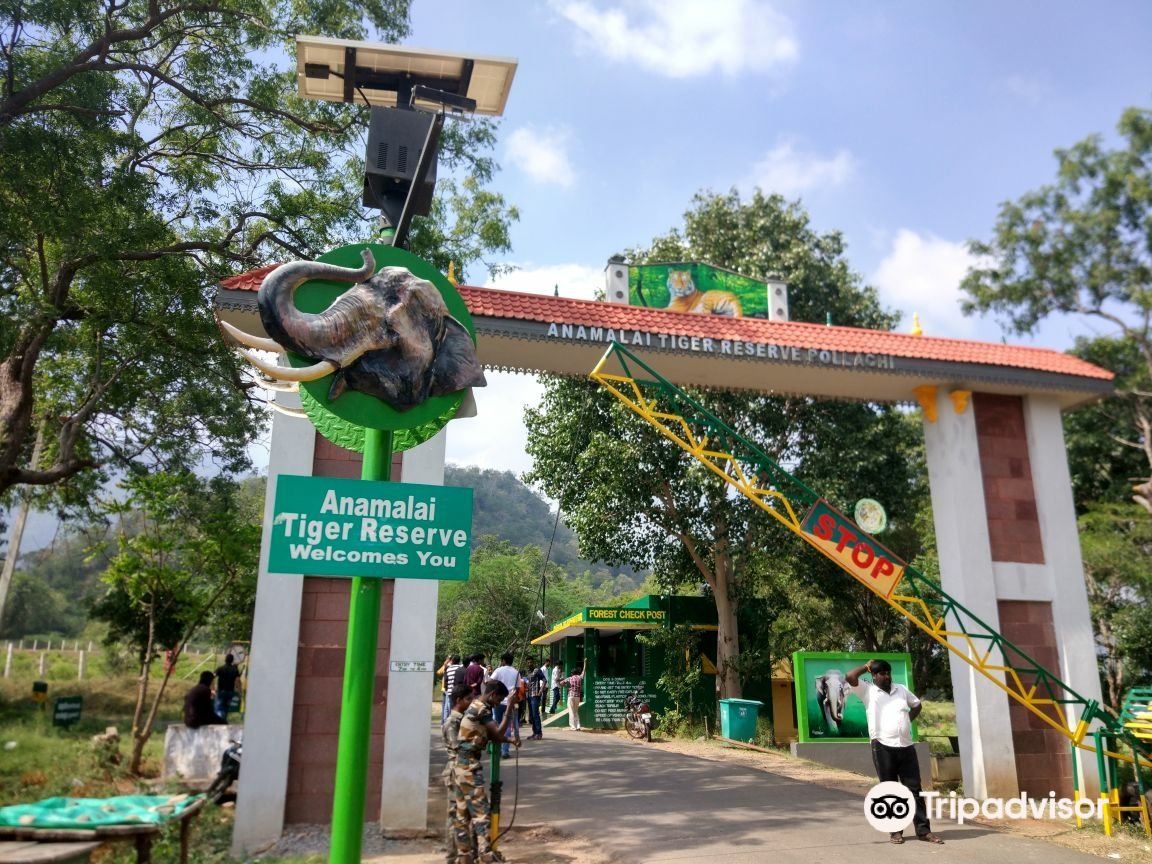 Topslip Tiger Forest: Photos, Map & Reviews [2024]