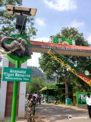 Topslip Tiger Forest