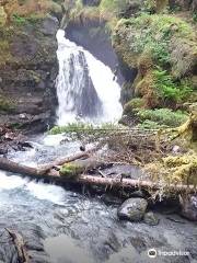 Virgin Creek Falls Trailhead