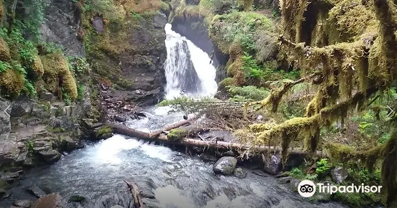 Virgin Creek Falls Trailhead