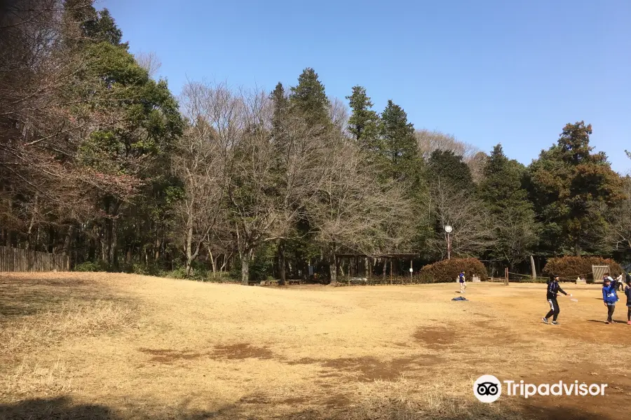 船橋県民の森