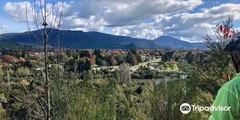 Tongariro River Trail