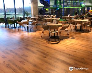 香港-萊昂丁 機票酒店 自由行