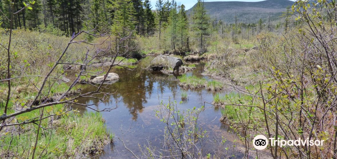 Things to Do in Sanbornton in 2024 Top Attractions, Local Food, Hotels & Travel Tips