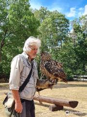 Adler- und Falkenhof Schütz Niederburg