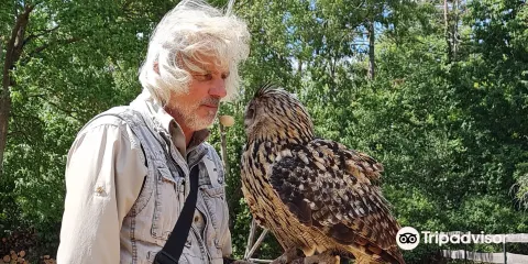 Adler- und Falkenhof