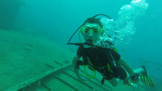 Scuba Dive Dominican