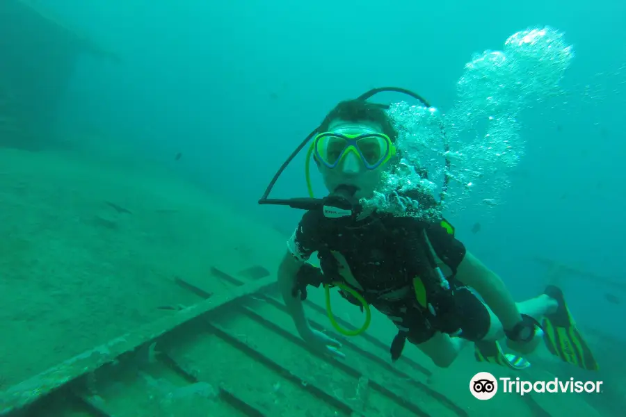 Scuba Dive Dominican