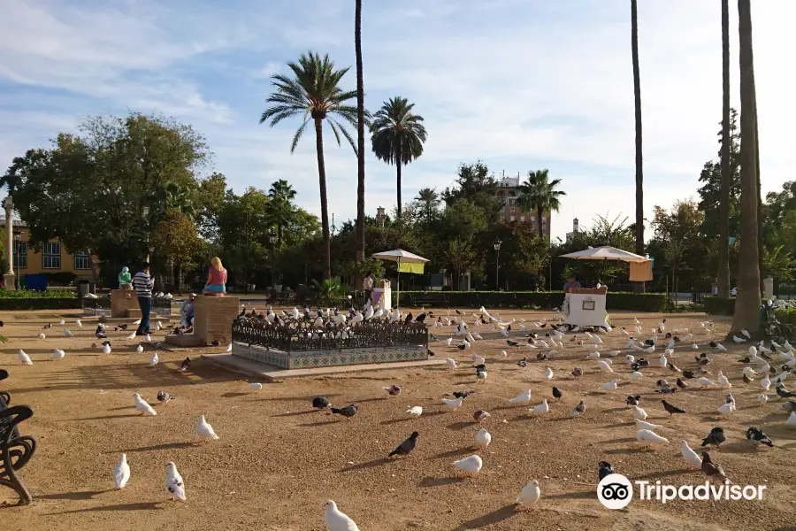 Parque de las Palomas