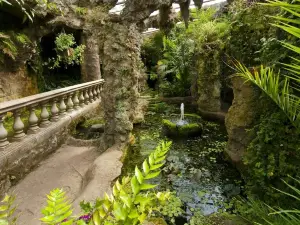 Dewstow Gardens & Hidden Grottoes