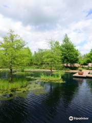 Centro de Naturaleza y Jardín Botánico Shangri La