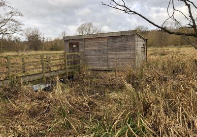 Taverham Mill Nature Reserve and Fishery