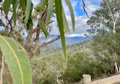 Easts Lookout