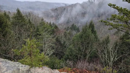 Conkles Hollow State Nature Preserve