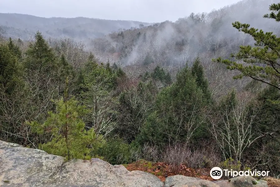 Conkles Hollow State Nature Preserve