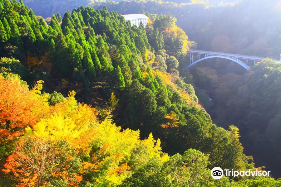 Shinto Takachiho Bridge