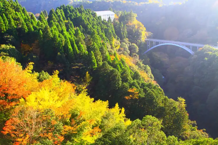Nishiusuki District