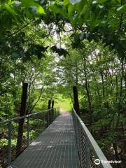 Spring Lake Park Reserve