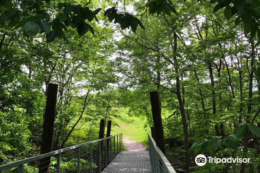 Spring Lake Park Reserve