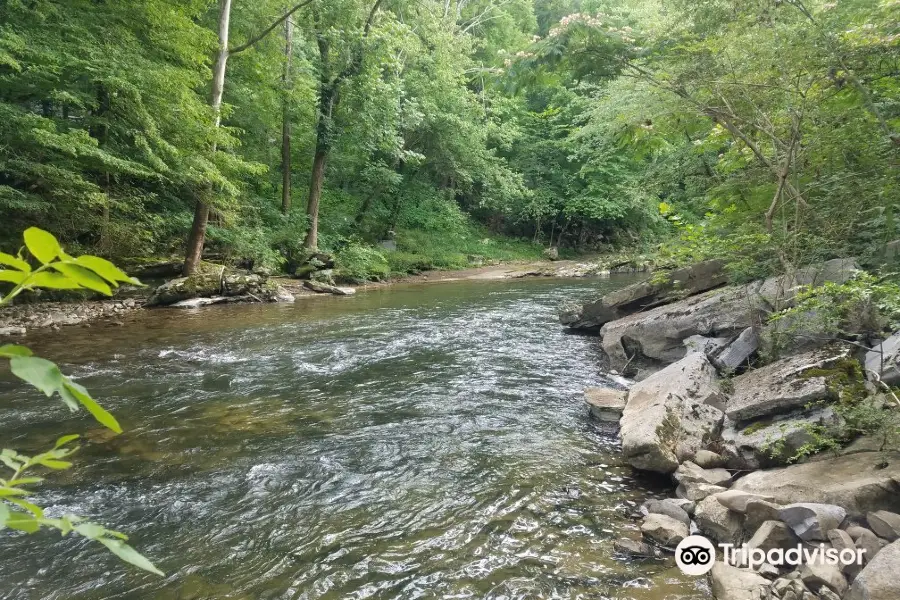 River Romp Tubing/Kayaking/Gem Mining