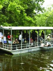 Cajun Pride Swamp Tours