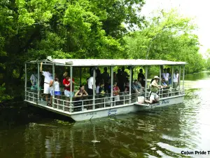 Cajun Pride Swamp Tours