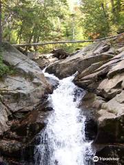 Cascade Stream Gorge Trail