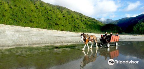 Golden Sands Horse And Wagon Tours