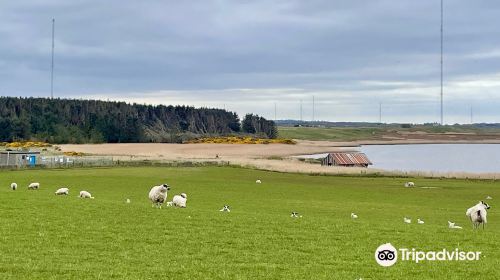 RSPB Loch of Strathbeg