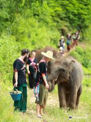 Happy Elephant Home