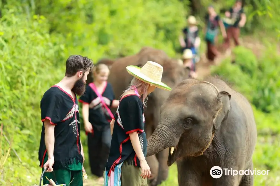 Happy Elephant Home