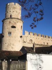 Laaer Burg