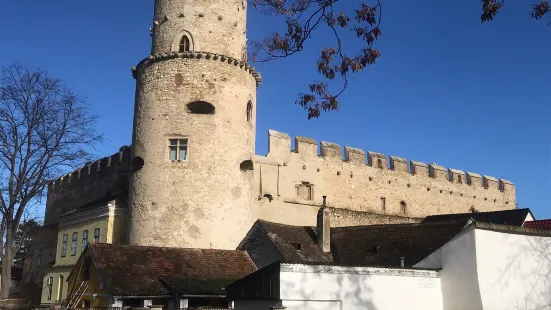 Laaer Burg