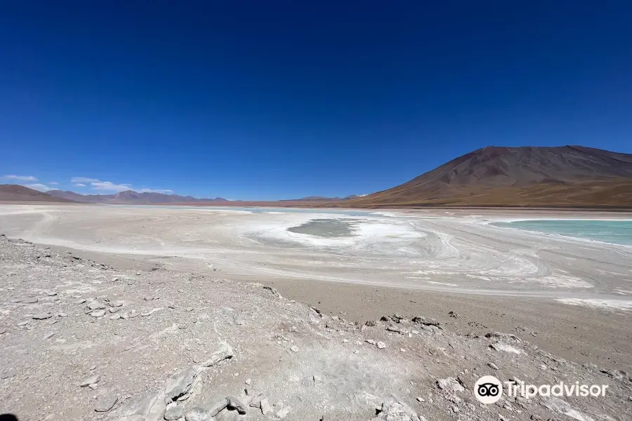 Laguna Blanca