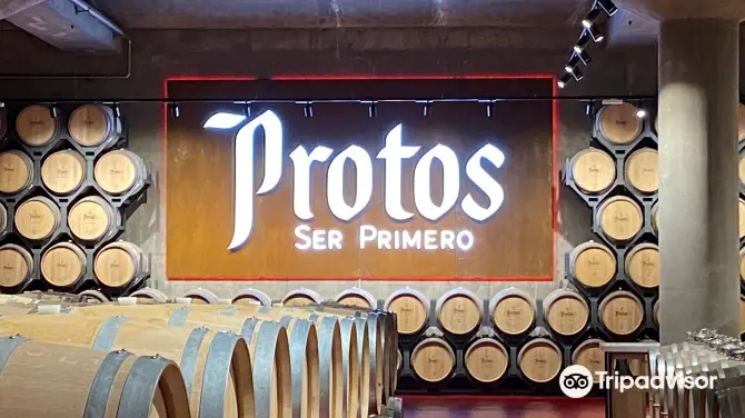 2_Bodegas Protos