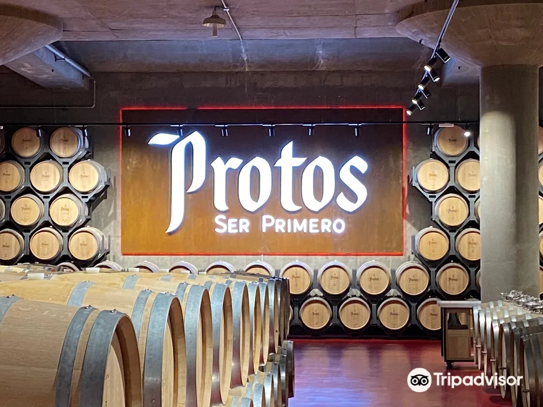 2_Bodegas Protos